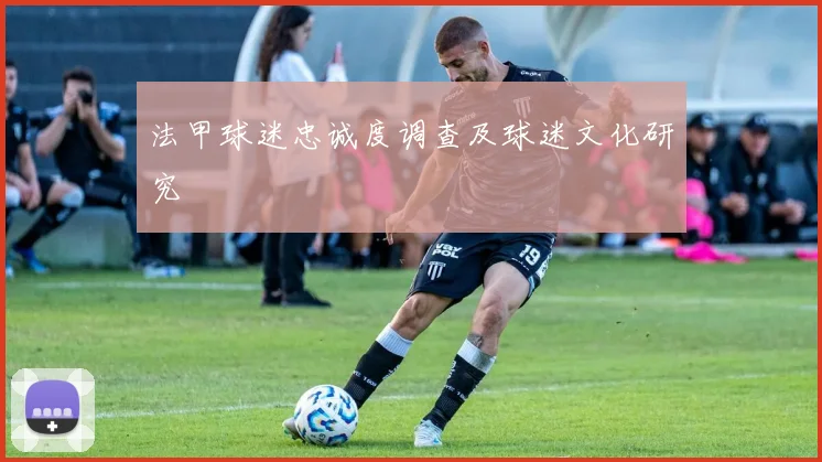 法甲球迷忠诚度调查及球迷文化研究