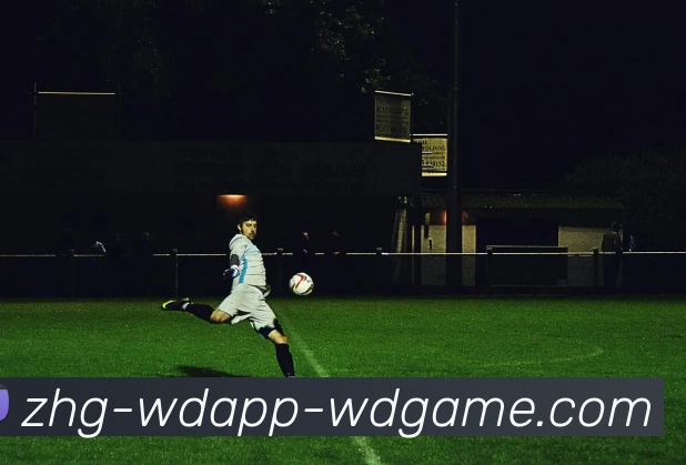 问鼎娱乐APP 高清赛事图